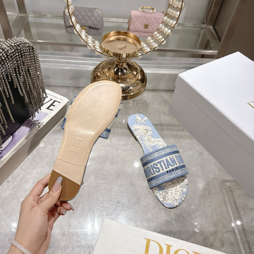 DIOR Dway Slide