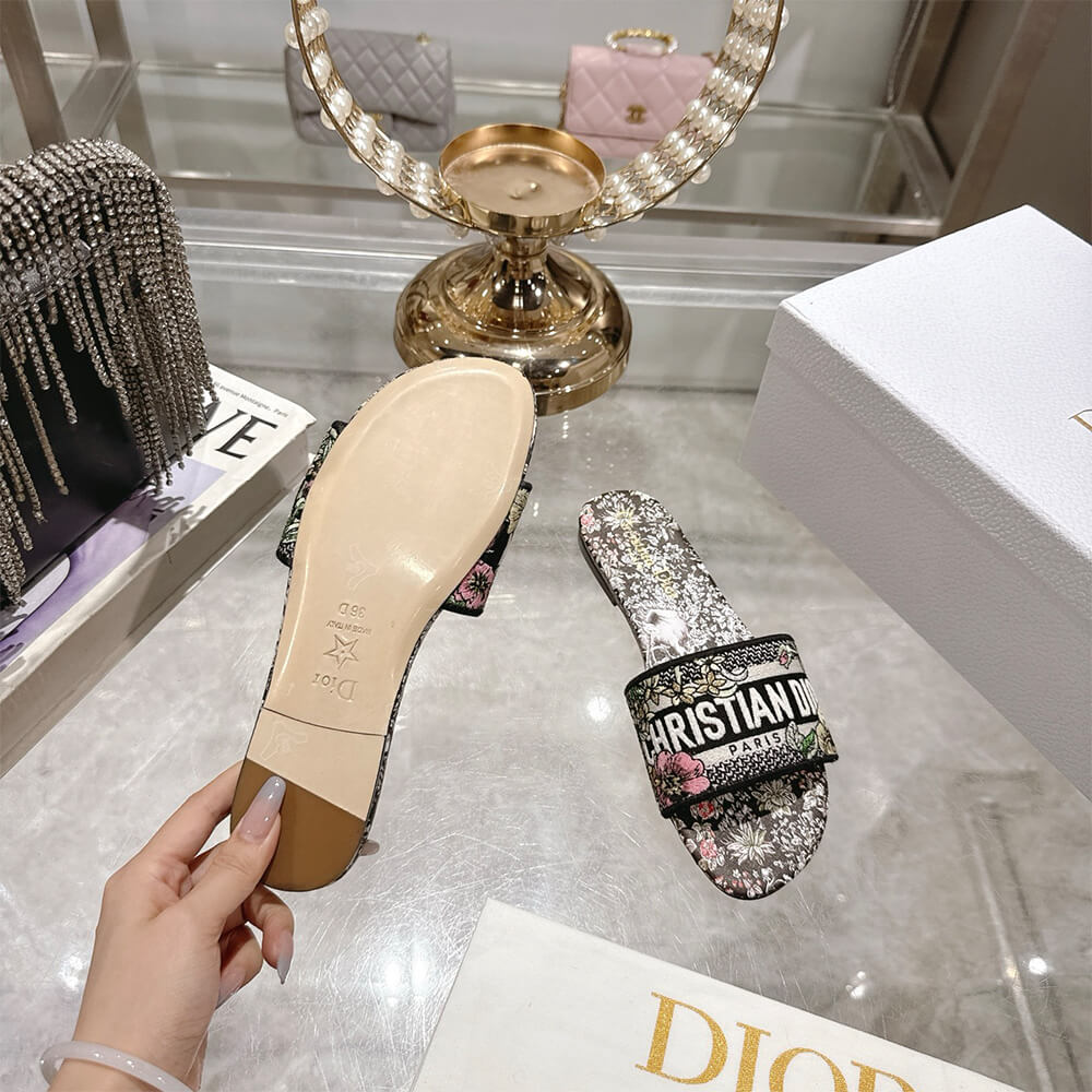 DIOR Dway Slide