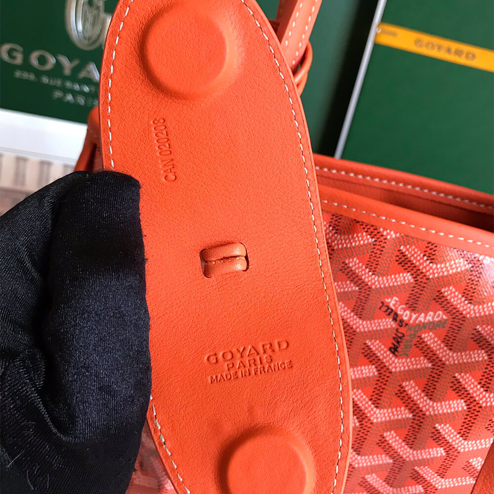 Goyard Anjou Mini Bag