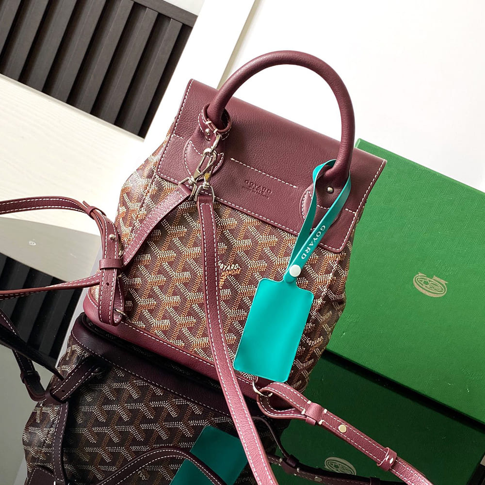 Goyard Alpin Mini Backpack