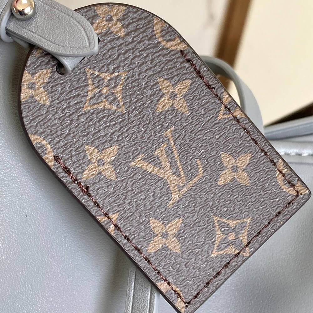 LV Carryall Vibe MM