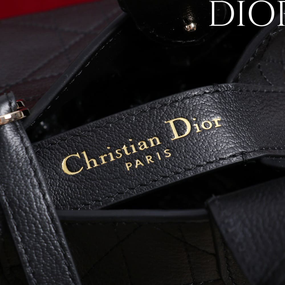 Medium Dior Toujours Bag
